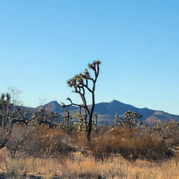 Meet your Posher, Jessica - Picture 13 of 16